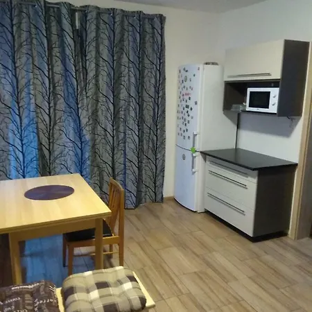 Apartment Novodvorsky Sara Nove Dvory (Vysocina)