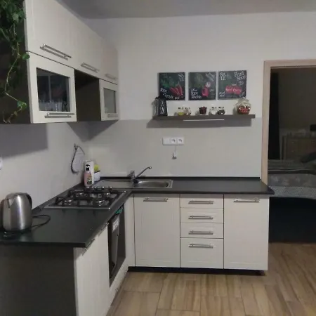 Apartment Novodvorsky Sara Nove Dvory (Vysocina)